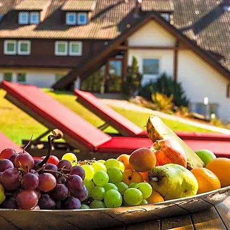 Otel Romantik Rindenmühle Villingen-Schwenningen