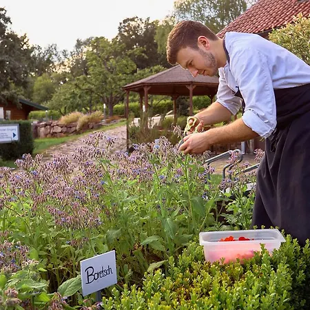 Romantik Rindenmuehle