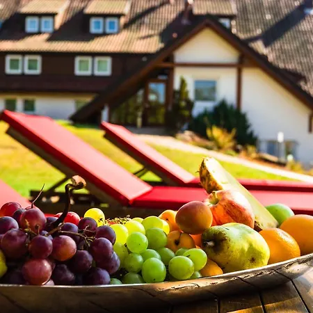 Romantik Rindenmuehle Hotel Villingen-Schwenningen